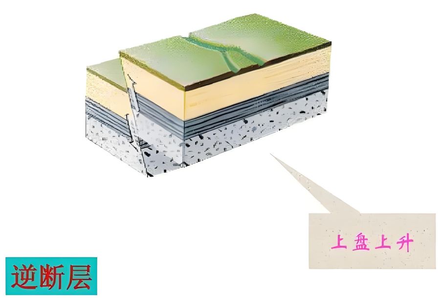 什么是逆斷層？逆斷層的特點